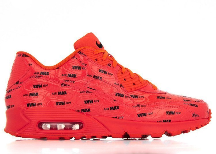 Buty sportowe męskie Nike Air Max 90 Premium (700155-604)