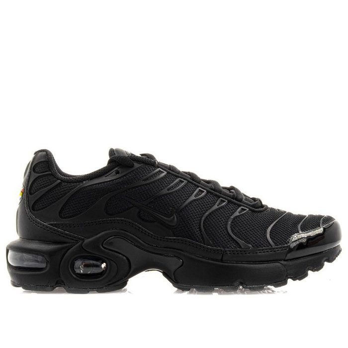 Buty sportowe Nike Air Max Plus GS (655020-009)