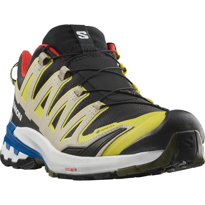 Buty do biegów w terenie męskie SALOMON XA PRO 3D V9 GTX 