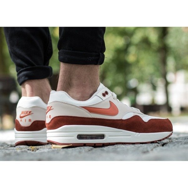 Buty sportowe męskie Nike Air Max 1 (AH8145-104)