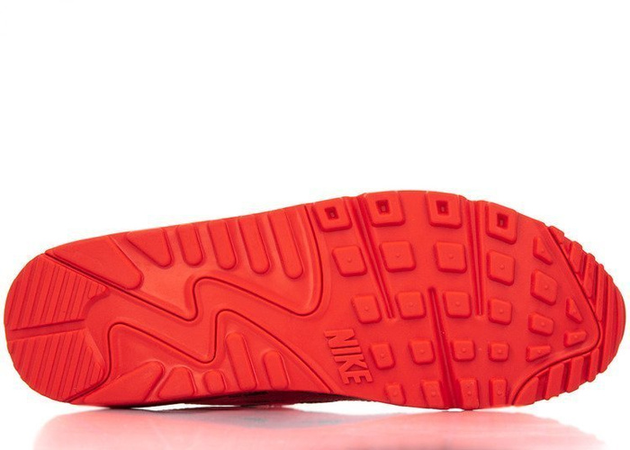 Buty sportowe męskie Nike Air Max 90 Premium (700155-604)