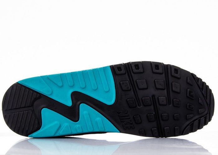 Buty sportowe męskie Nike Air Max 90 Essential (AJ1285-001)