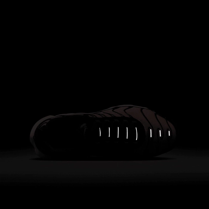 Nike Air Max Plus Sneakersy damskie