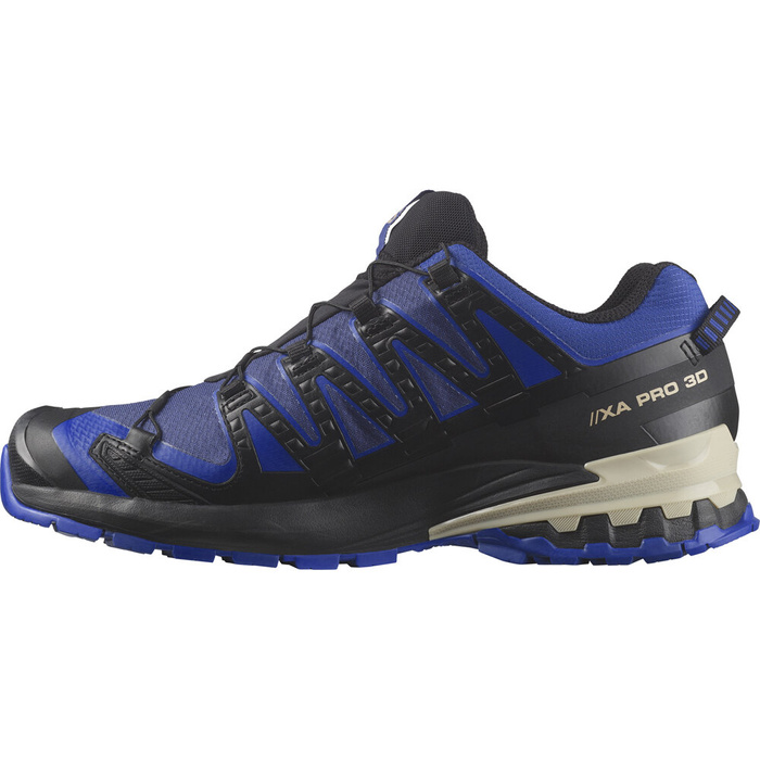 Buty do biegów w terenie męskie SALOMON XA PRO 3D V9 GTX 