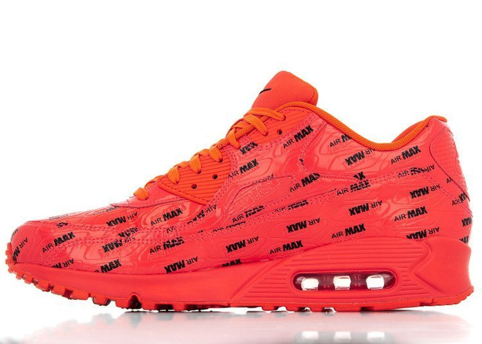 Buty sportowe męskie Nike Air Max 90 Premium (700155-604)