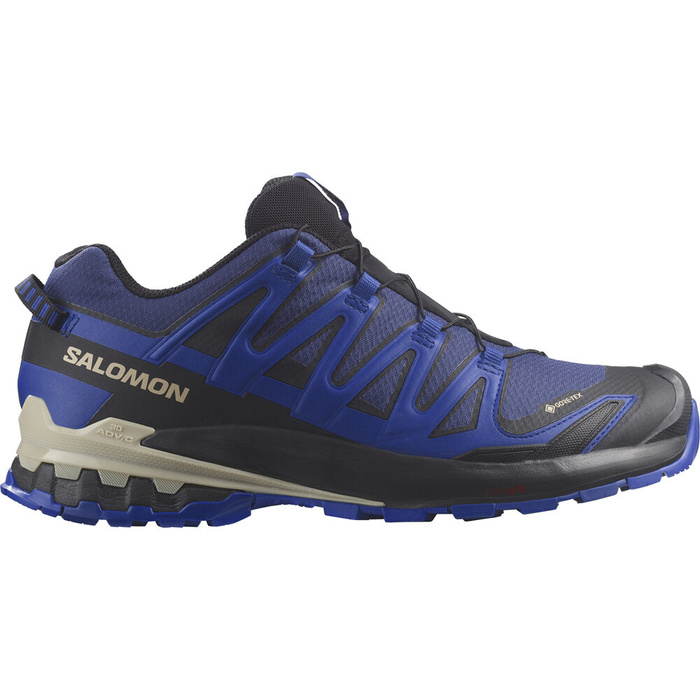 Buty do biegów w terenie męskie SALOMON XA PRO 3D V9 GTX 