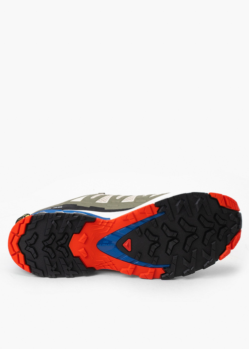 Buty do biegów w terenie męskie SALOMON XA PRO 3D V9 