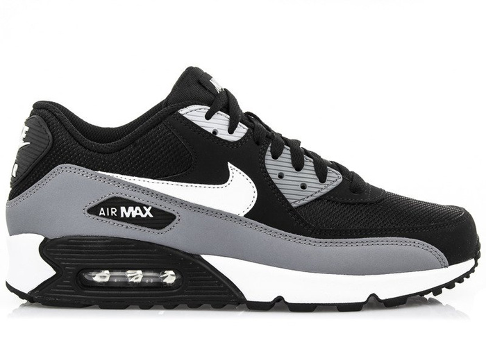 Buty sportowe męskie Nike Air Max 90 Essential (AJ1285-018)