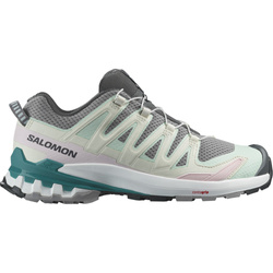 【SALOMON】XA PRO 3D Męskie Buty SALOMON XA PRO 3D V9 GTX L47270100 – Internetowy