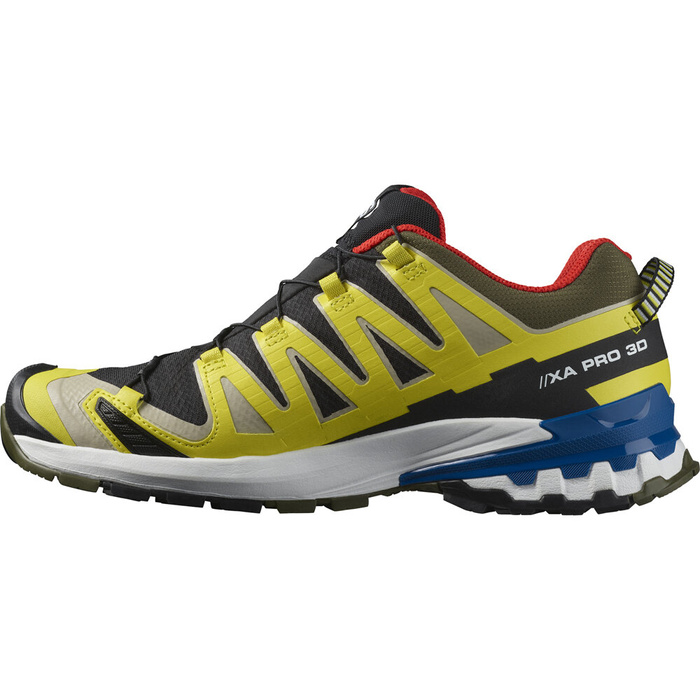 Buty do biegów w terenie męskie SALOMON XA PRO 3D V9 GTX 