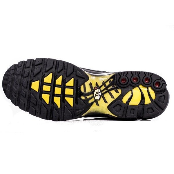 Buty sportowe męskie Nike Air Max Plus (852630-020)