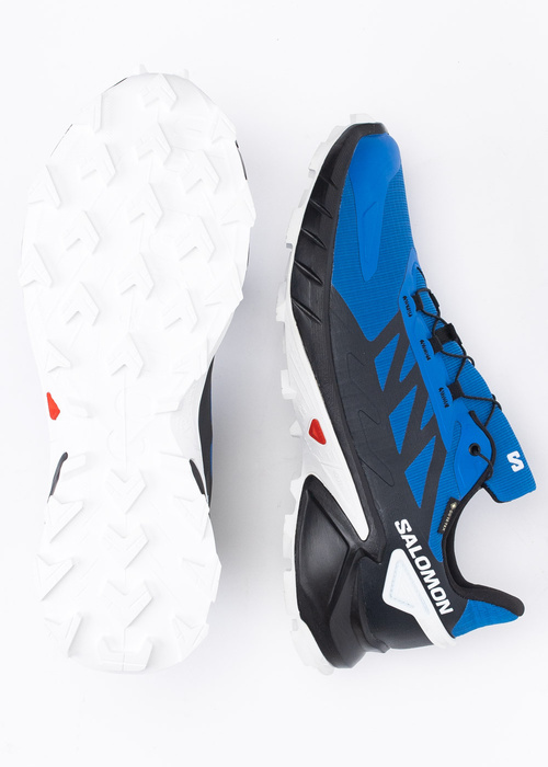 Buty do biegów w terenie męskie SALOMON SUPERCROSS 4 GTX 