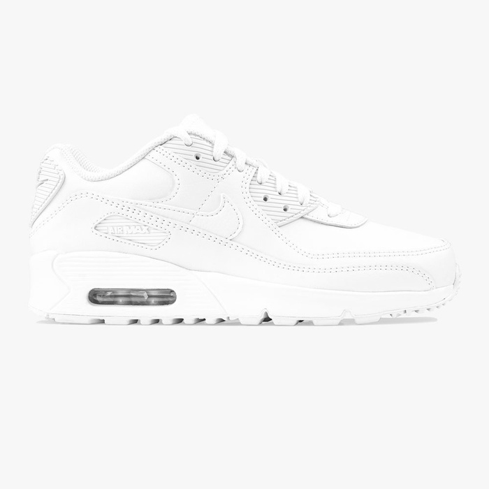 Buty sportowe Nike Air Max 90 Ltr GS (CD6864-100)