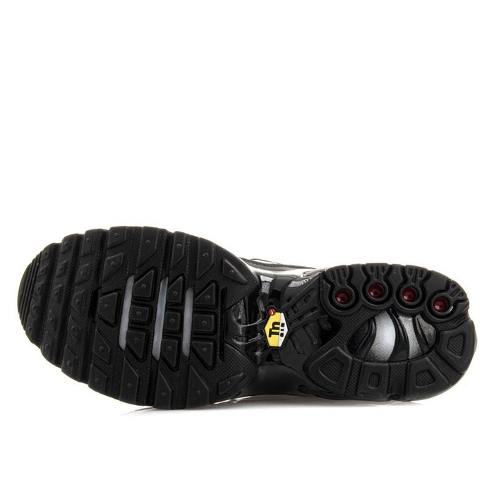 Buty sportowe Nike Air Max Plus GS (655020-009)