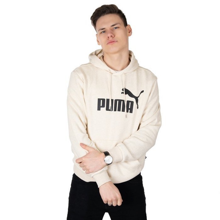 Bluza Puma Essentials Hoody Big (852422-89)