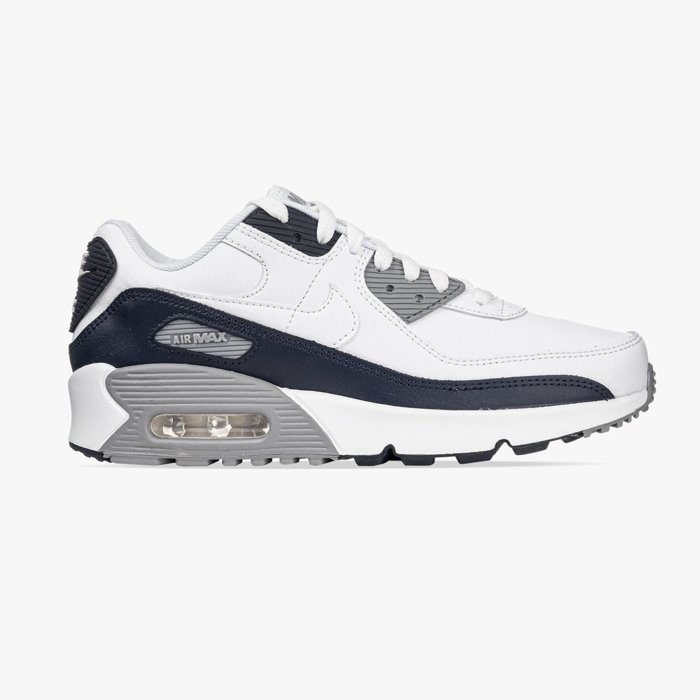 Buty sportowe Nike Air Max 90 Ltr GS (CD6864-105)