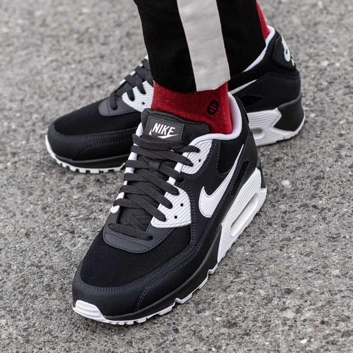 Buty sportowe męskie Nike Air Max 90 Essential (537384-089)