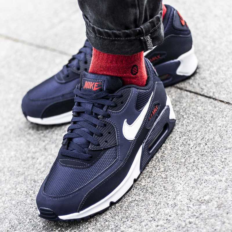 Buty sportowe męskie Nike Air Max 90 Essential (AJ1285-403)