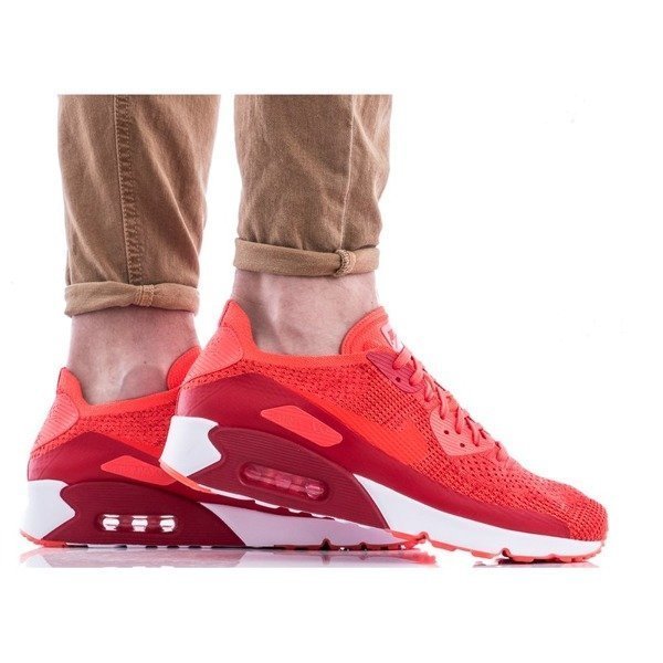 Buty sportowe męskie Nike Air Max 90 Ultra 2.0 Flyknit (875943-600)