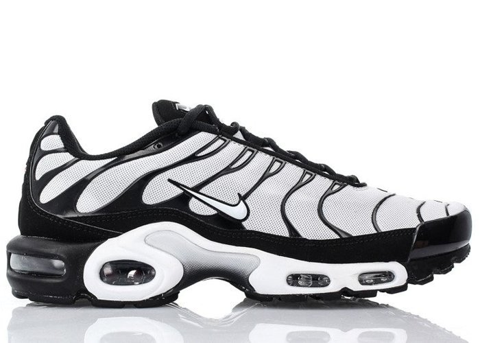 Buty sportowe męskie Nike Air Max Plus (852630-032)