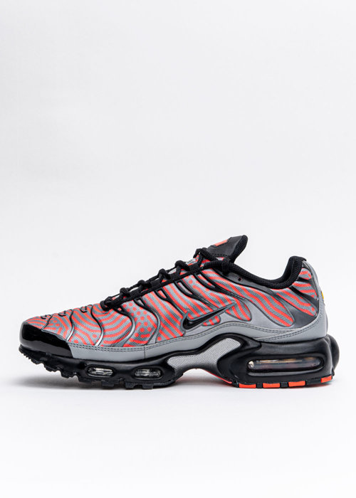 Buty sportowe męskie Nike Air Max Plus (CW7575-100)