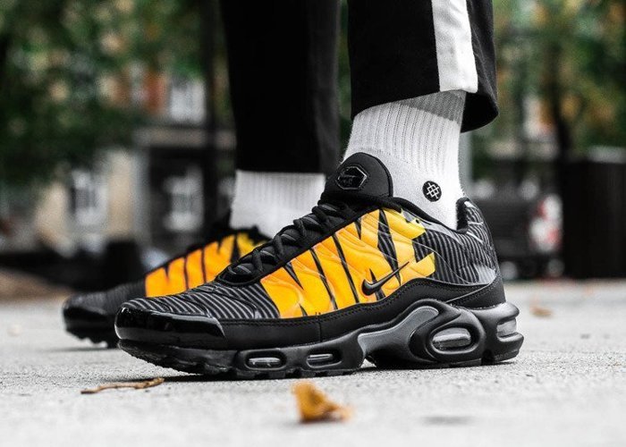 Buty sportowe męskie Nike Air Max Plus TN SE (AT0040-002)