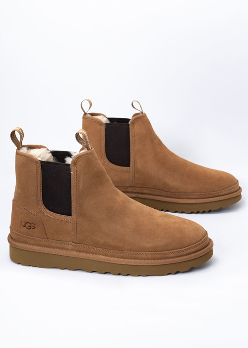 Sztyblety męskie brązowe UGG M Neumel Chelsea-Boot