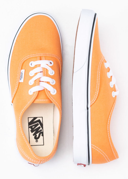 Tenisówki Vans Authentic (VN0A5HZS9GC1)