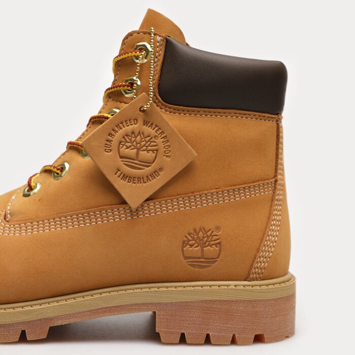 Trapery damskie Timberland  6 IN PREMIUM WP BOOT